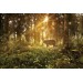 Фотообои Лесной олень DECOCODE 32-0006-PG (300х200см) купить в интернет-магазине RemontDoma