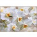 купить Декоративное панно Белая орхидея 196х134 (4 листа) в Смоленске