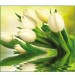 купить Декоративное панно VIP Белые тюльпаны 294х260 (12 листов) в Смоленске